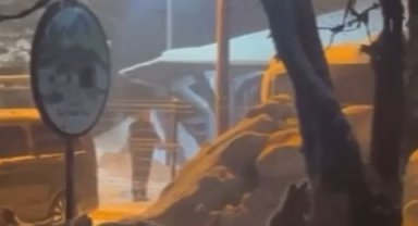 Uludağ'da kış uykusundan uyanan ayı ailesi yemek için Sarıalan'a indi