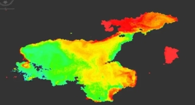 Van Gölü: Geceleri Uyumayan Devasa Ekosistem
