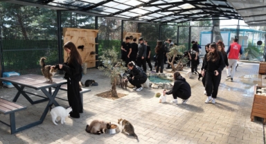 Yıldırım Belediyesi Cumalıkızık Sahipsiz Hayvan Bakımevi Gençleri Ağırladı