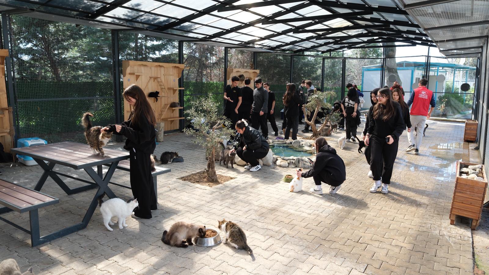 Yıldırım Belediyesi Cumalıkızık Sahipsiz Hayvan Bakımevi Gençleri Ağırladı