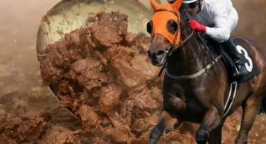 Belediyeye Bağlı Aşevinde At Eti Skandalı