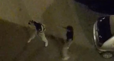 Bursa’da Sokak Ortasında Dakikalarca Süren Kavga