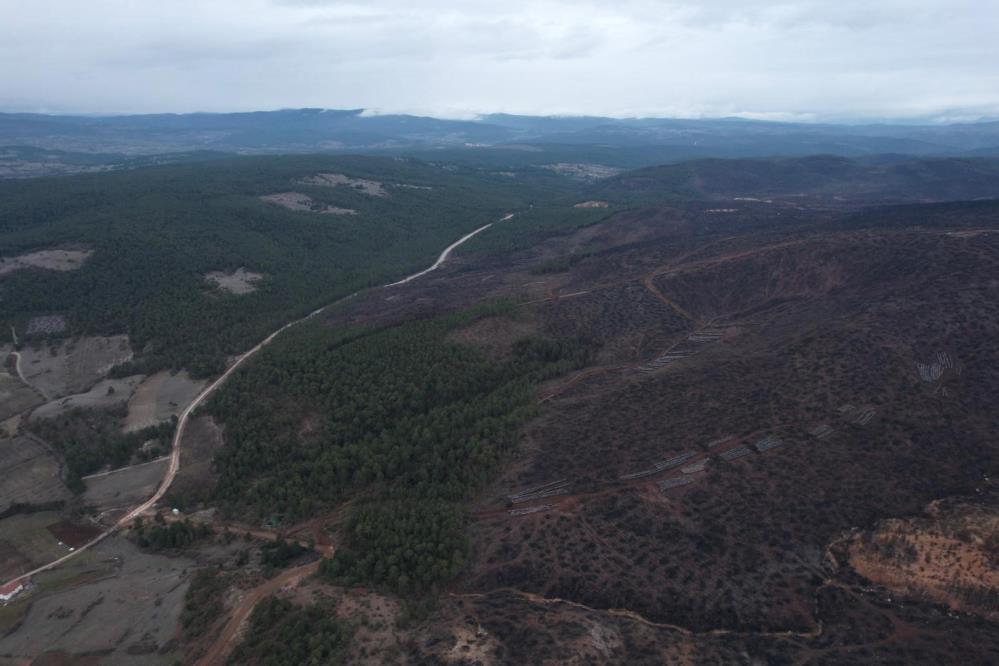 Bursa Harmancık Yangını Sonrası Ağaçlandırma Seferberliği