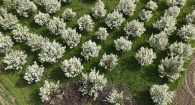 İnegöl’de Bahar Güzelliği