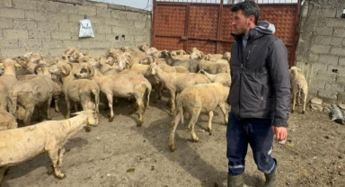 Kurbanlık parasıyla evlenmişti şimdi doğacak bebeği için kullanacak