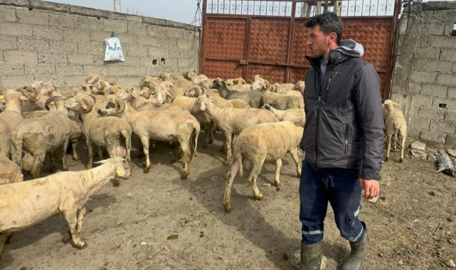 Kurbanlık parasıyla evlenmişti şimdi doğacak bebeği için kullanacak