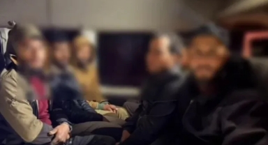 Minibüste 14 Kaçak Göçmen Yakalandı, Organizatör Tutuklandı