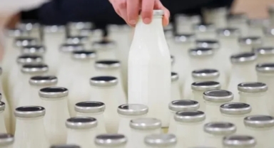 TÜGİS’ten Gıda Hurafeleri Uyarısı: Bilimsel Gıda Açıklamaları