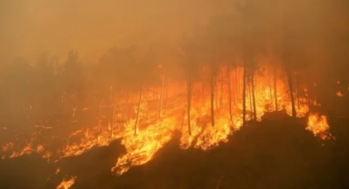 Türkiye'de 2025 Yılında 3 Bin 224 Orman Yangını Çıktı