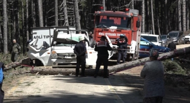 Uludağ'da inanılmaz olay