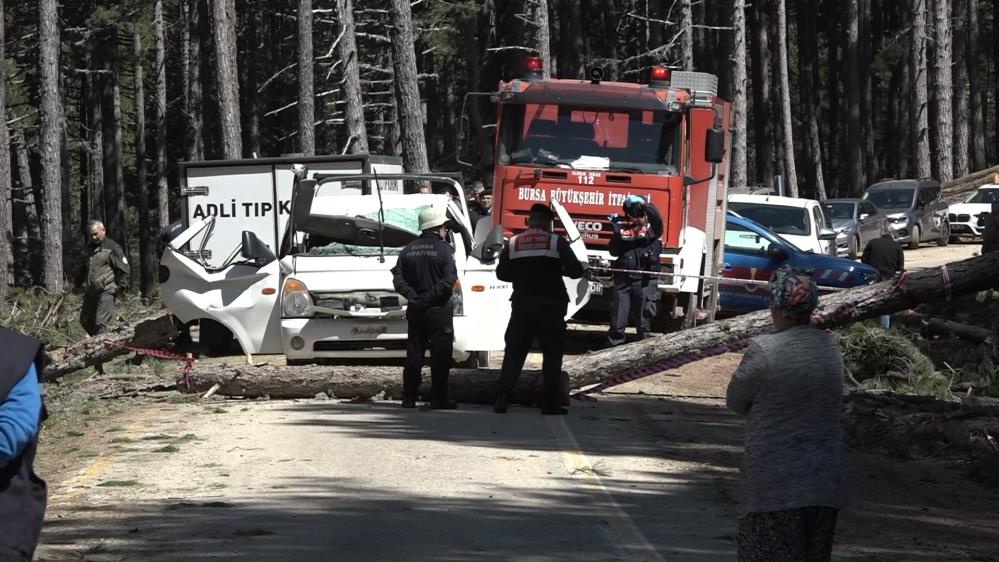 Uludağ'da inanılmaz olay