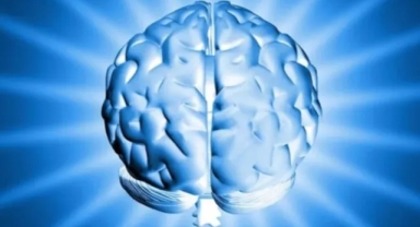 Uluslararası IQ Testi Sonuçları: Doğu Asya Ülkeleri Zirvede