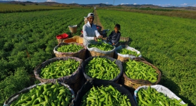Yenişehir Tarım ve Sanayiyle Büyüyor: Ercan Özel’den Ticaret Merkezi Vurgusu