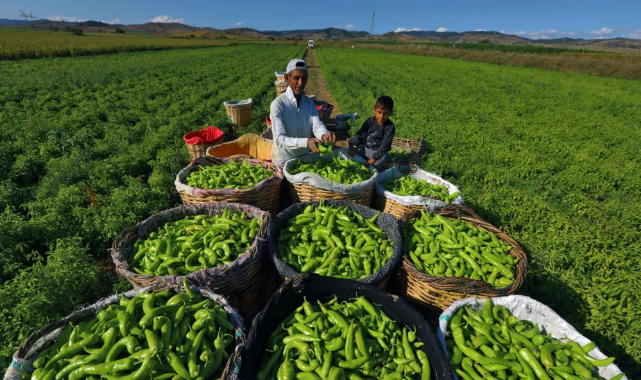 Yenişehir Tarım ve Sanayiyle Büyüyor: Ercan Özel’den Ticaret Merkezi Vurgusu