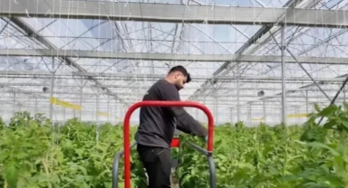 Zonguldak Çaycuma Sera OTB Üretime Başladı