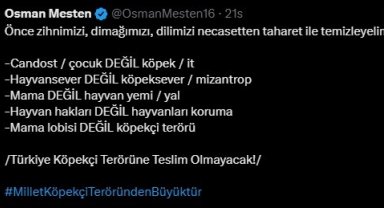 Bursa Milletvekili Mesten'e hem destek hem tehdit