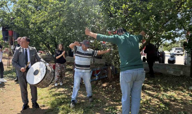 Davullu zurnalı erik hasadı