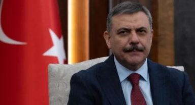 Bakan Mustafa Çiftçi’den Sokak Köpekleri Açıklaması: “Yıl Başına Kadar Barınaklara Alınacak”