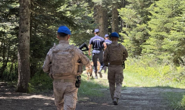 Orman Yangınlarına Karşı Alarm: Uludağ’da Jandarma 24 Saat Nöbette