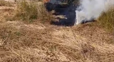 Şerare yapan elektrik telleri yangına sebep oldu