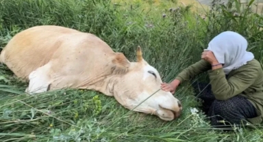 200 Metrelik Uçurumdan Düştü! Ailenin Tek Geçim Kaynağı Telef Oldu 