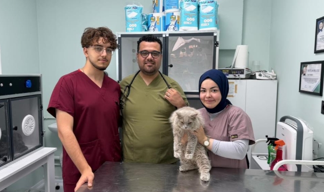 Bursa'da Kısırlaştırılacak Kedi Veteriner Kliniğini Birbirine Kattı