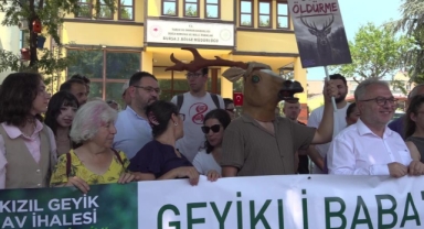 Bursa Veteriner Hekimleri Odası’ndan Kızıl Geyik Av İhalesine Tepki