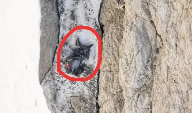 Cilo Sat Dağı'nda Acı Son! Dağcı Yüksel Işık'ın Son Anları Ortaya Çıktı