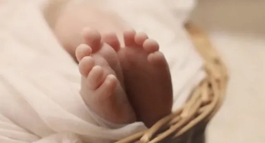 İsveç’te Kuzen Evlilikleri Yasaklandı: Genetik Hastalık Riski Tartışılıyor