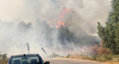 İznik'te Çöp Depolama Tesisi Yangını Ormana Sıçradı! Ekipler Seferber Oldu 