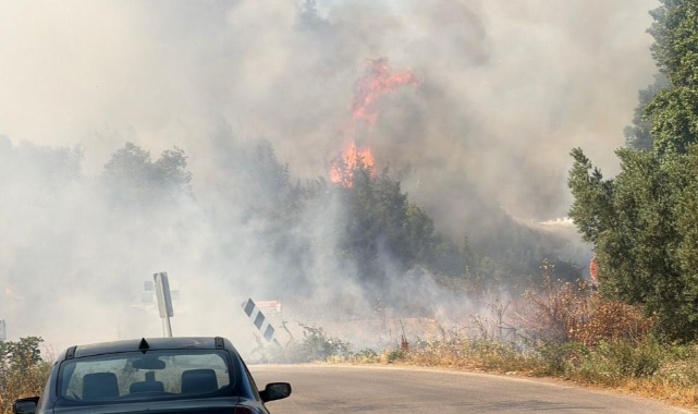 İznik'te Çöp Depolama Tesisi Yangını Ormana Sıçradı! Ekipler Seferber Oldu