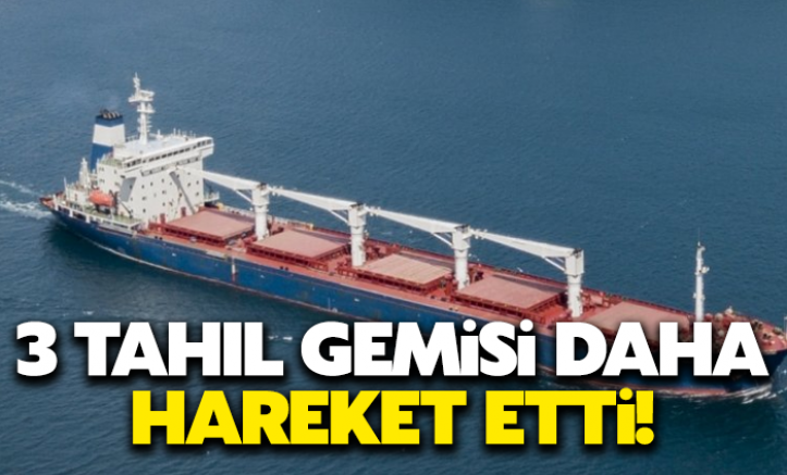 3 tahıl gemisi daha hareket etti