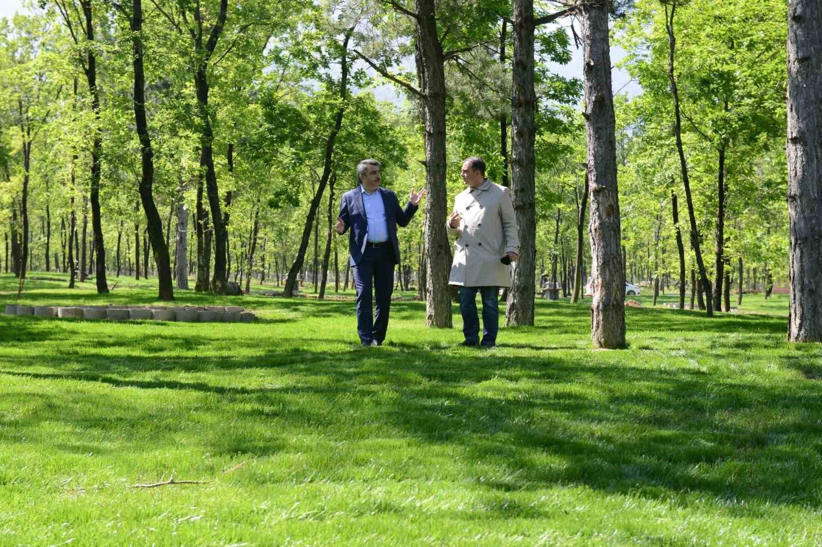 700 Yıllık Osmanlı Köyü Cumalıkızık'a 100 Bin Metrekarelik Orman Parkı