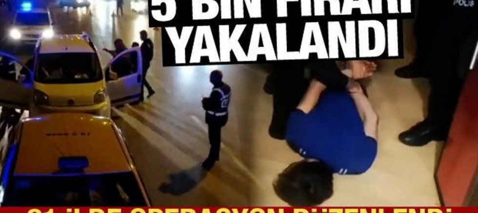 81 ilde