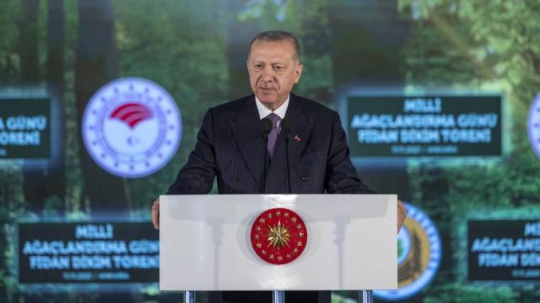 81 İle 81 Millet Ormanı
