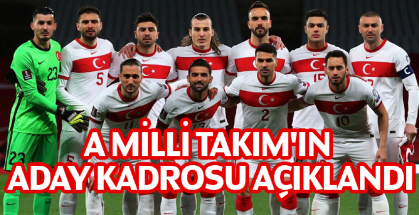 A Milli Takım'ın aday kadrosu açıklandı