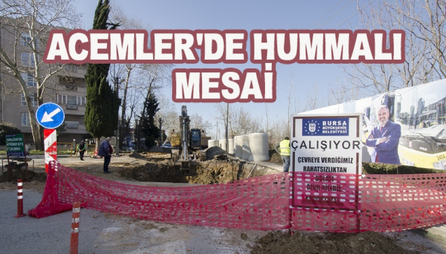 Acemlerde Hummalı Mesai