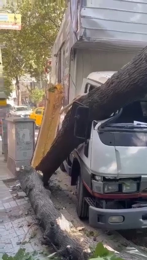 Bursa'da Ağaç Kamyonetin Üzerine Devrildi