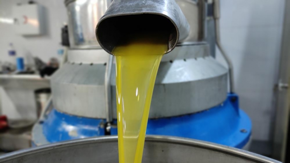 Ağaçlar Yandı, Zeytin Yağı 50 Lirayı Buldu