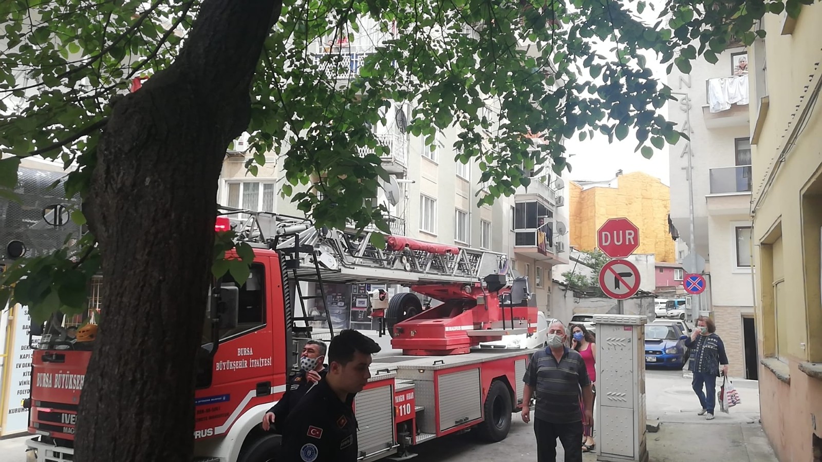 Ağaçta Kalan Kediyi İtfaiye Kurtardı