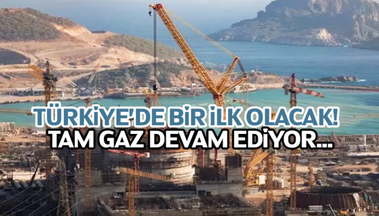 Akkuyu NGS'nin 1'inci güç ünitesinde kutup vincinin montajı yapıldı