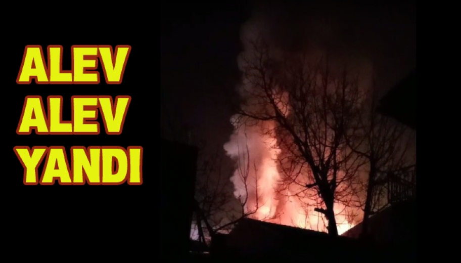 Alev Alev Yandı