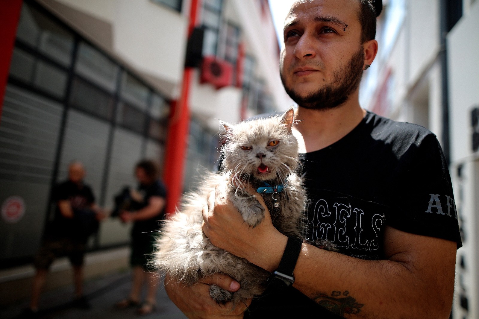 Anne Ve 3 Yavru Kedi Yangından Böyle Kurtarıldı