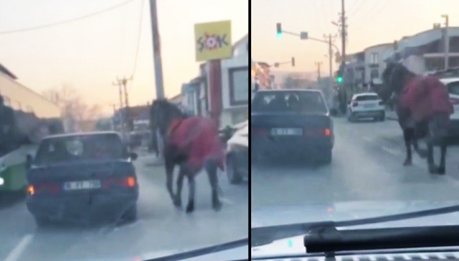Aracına At Bağlayıp Caddelerde Koşturdu