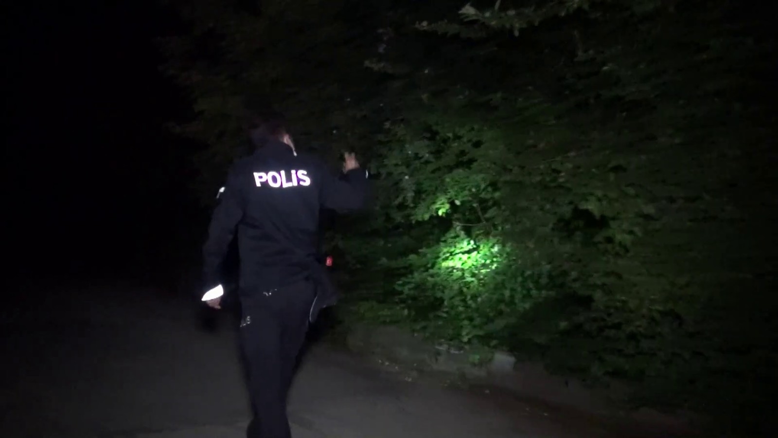 Aranan Ayı Ailesi Bulundu...