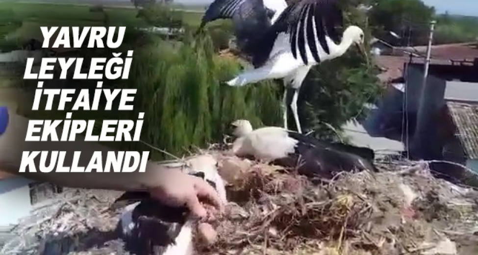 Ayağına Tel Takılan Yavru Leyleği İtfaiye Ekipleri Kurtardı