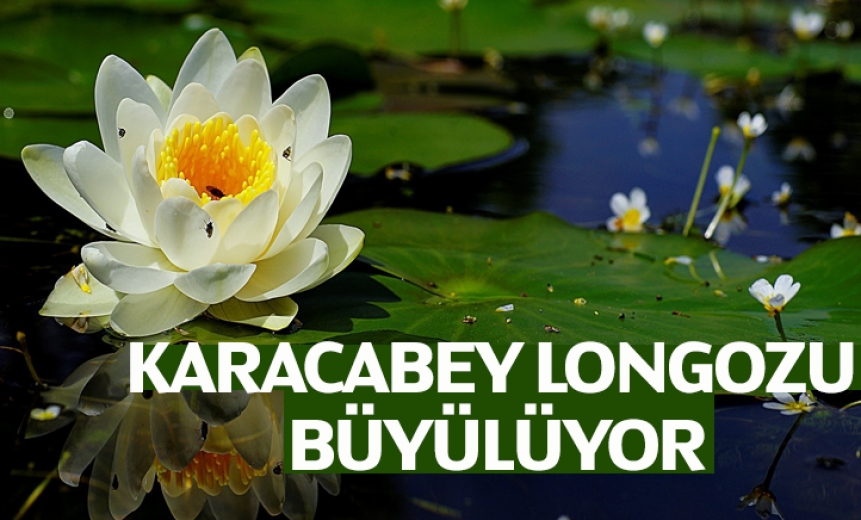 Baharla Birlikte Karacabey Longozu Büyülüyor