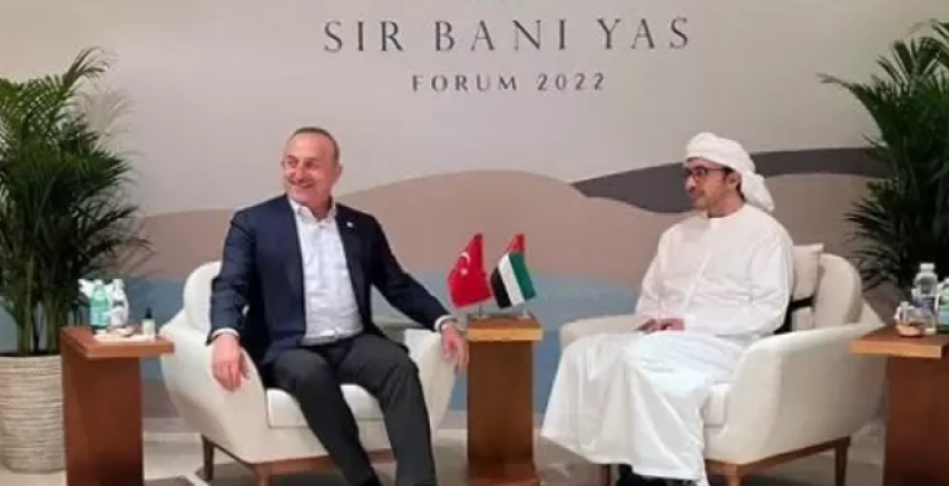 Bakan Çavuşoğlu'ndan BAE açıklaması