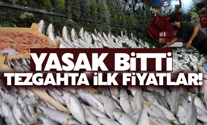 Balık yasağı bitti, tezgahta ilk fiyatlar