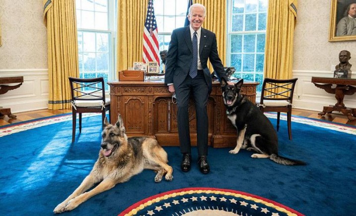 Biden'ın Köpeği Bir Çalışanı Isırdı